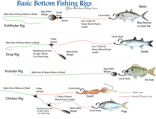 Bottom Fishing Rigs