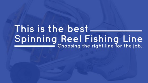 Best spinning reel fishing line